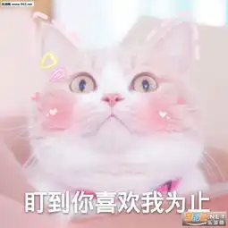 智商被掏空图片表情包易拉罐啊大合唱表情包下载乐游网游戏下载

