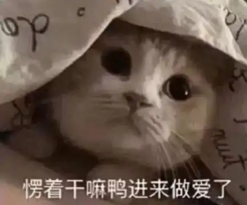 男友出轨怎么办女孩设计抓现行,男友当场吓哭
