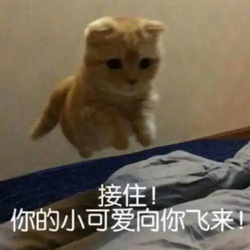 宿舍

