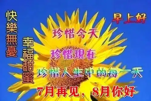 8月你好动态图问候祝福语简短句子八月最新早上好正能量带字图片说说
