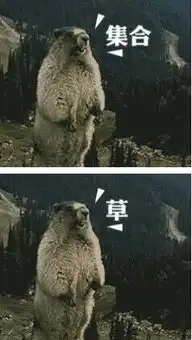 土拨鼠表情包gif土拨鼠表情包高清无水印附原图极光站
