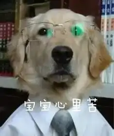 最高降10双11一波新冷空气提前到货广州...