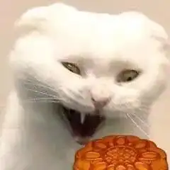 中秋节表情包丨宝,一起赏月吗
