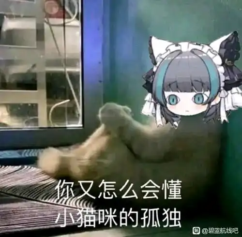 贴吧,q群的表情包,趣图合集二

