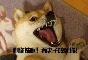 宠物表情包出处智商