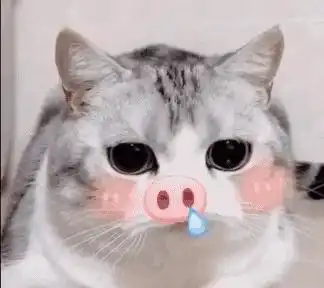 告诉你个秘密一只猫身上有这些现象,说明它过得快乐
