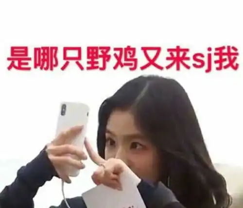 中毒性旋律新歌人气居高不下,神仙姐姐超搞笑表情包带你一起飞
