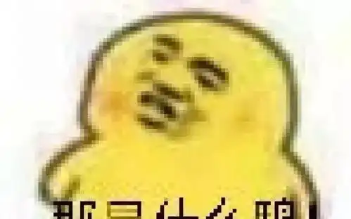 你家猫会不会抓老鼠,测一测就知道