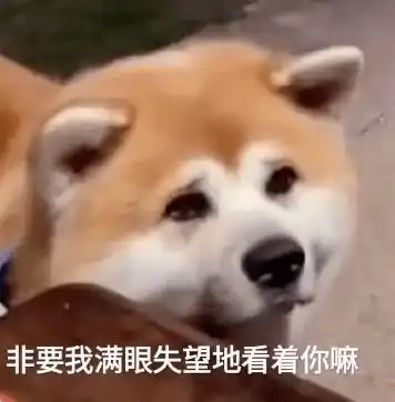 同学聚会,都说我这么多年一点都没变
