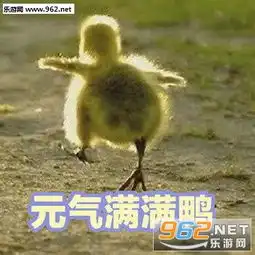 气到炸毛鸭表情图片可爱鸭表情包下载乐游网游戏下载
