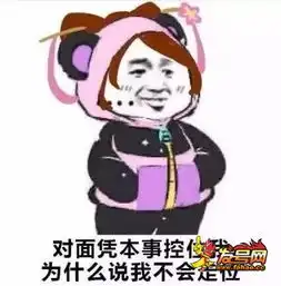 王者荣耀斗图表情包第170期凭本事杀的我为什么说我送
