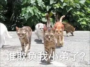 听说你要搞事情表情包下载听说你要搞事表情包大全
