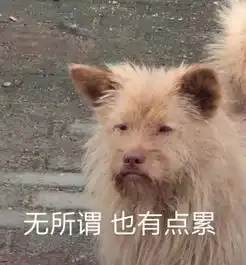 我真的不能再吃了
