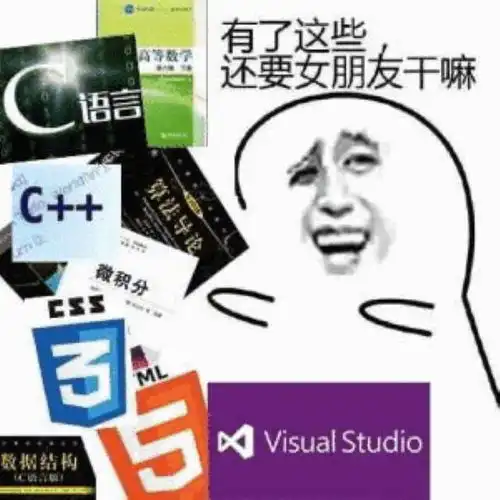 编程萌新必看初学c语言必会的知识点,你学废了吗
