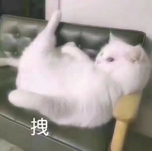 有哪些在朋友圈会被秒赞的文案
