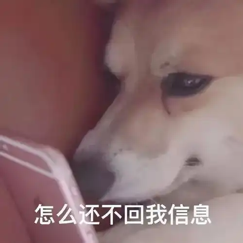俊逸传上被拜金初恋伤透变黑化险些成为多位大佬的玩物