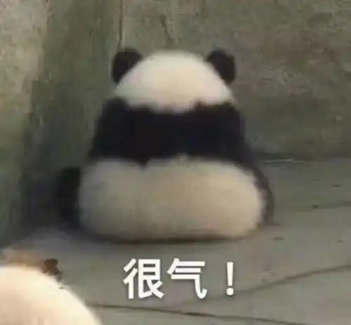 看熊猫滚滚摔跤看到沉迷熊猫一天到底要摔多少个跟头

