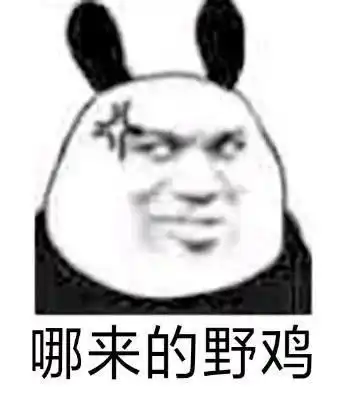 沙雕熊猫头我这么靓仔,是不会骗你的
