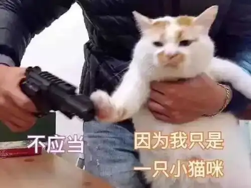 生日表情包微信教程一夜新娘
