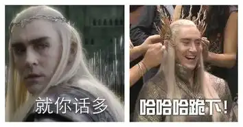 奥斯卡影帝影后不存在的,在段子手那里永远都是一流表情包
