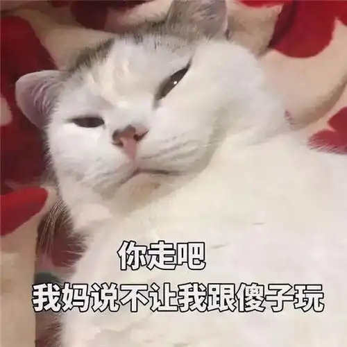 恋爱翻车大赏不讲武德的年轻人,耗子尾汁
