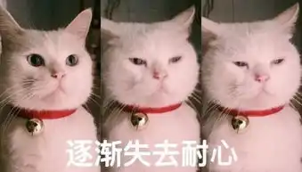 天火爆抖音某书的都是什么奇葩面膜这9款你为谁交过智商税
