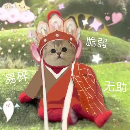 在不喜欢的岗位处于工作上升期,我该辞职吗
