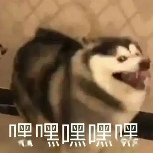 世上狗子千千万,只有得不到的最好看
