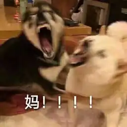 猫咪跟妈妈要生活费表情包妈,我没钱啦
