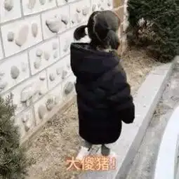 微信qq斗图表情包搞笑表情包

