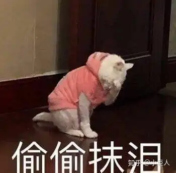 流泪的表情包是怎么样
