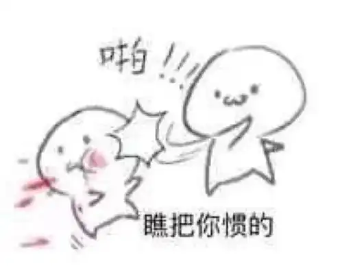 新初一娃生存状态概览
