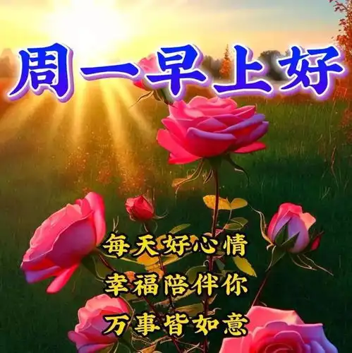 2024年5月6日早安周一最美早安问候祝福语图片,唯美早安祝福语图片集锦
