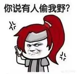 你怎么看玩王者荣耀从头到尾只玩一个英雄的人
