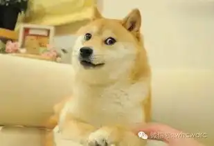 这只狗简直有毒,慎点不仅霸占表情包,还出来拯救世界了
