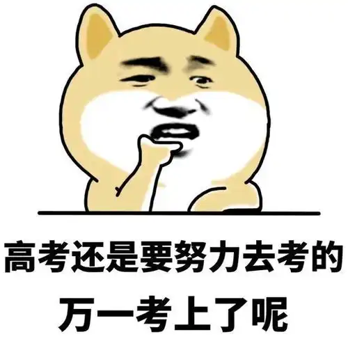 原来高考的时候也会很搞笑网友哈哈哈哈笑岔气了
