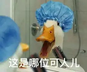 锤爷大料
