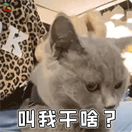 我想上班
