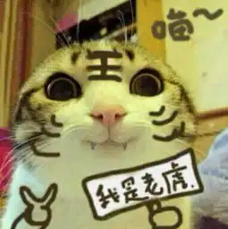 求这个猫猫的表情包