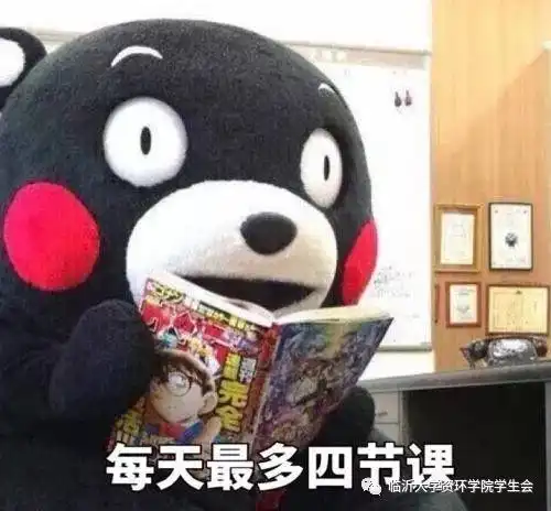 我可能读了个假大学
