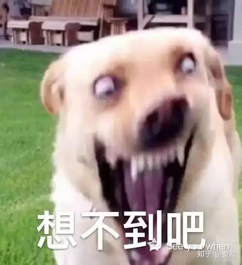 吃腿补腿
