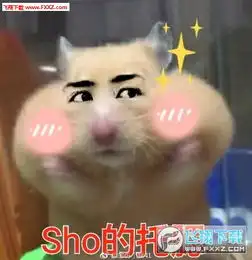 仓鼠托腮表情包原图下载仓鼠托腮表情包下载飞翔下载