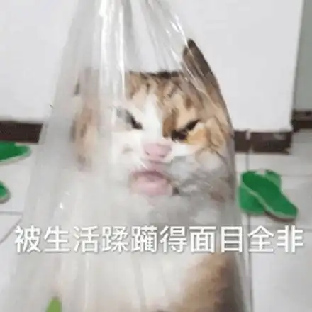 小暑已至,盛夏预热中准备好迎接热晴了吗
