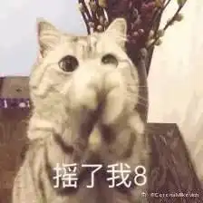 我该打,也该骂,怪我没听你的话
