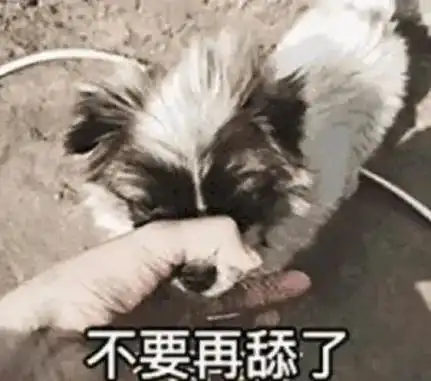 在线等我吃光了过年的砂糖橘,怎样才能让我妈不揍我
