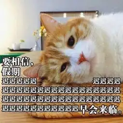 相信我你是表情包相信我你是微信表情包相信我你是qq表情包发表情...
