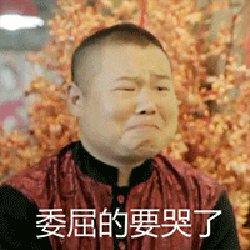 贱人小岳岳

