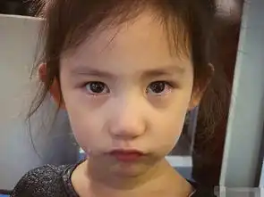 孙莉晒小女儿表情连拍萌照,黄磊调侃假笑女孩
