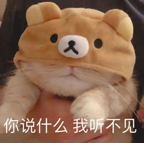 女装就是要跟群众对着干
