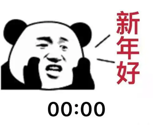 跨年的你们是这样的吗沙雕表情包
